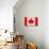 Canada Flag Design with Wood Patterning - Flags of the World Series-Philippe Hugonnard-Premium Giclee Print displayed on a wall