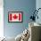 Canada Flag Design with Wood Patterning - Flags of the World Series-Philippe Hugonnard-Framed Art Print displayed on a wall