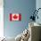 Canada Flag Design with Wood Patterning - Flags of the World Series-Philippe Hugonnard-Mounted Art Print displayed on a wall