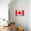 Canada Flag Design with Wood Patterning - Flags of the World Series-Philippe Hugonnard-Mounted Art Print displayed on a wall