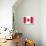 Canada Flag-ekler-Art Print displayed on a wall