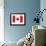 Canada Flag-ekler-Framed Art Print displayed on a wall