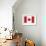 Canada Flag-ekler-Framed Art Print displayed on a wall