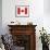 Canada Flag-ekler-Framed Art Print displayed on a wall