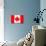 Canada Flag-kwasny221-Art Print displayed on a wall