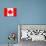 Canada Flag-kwasny221-Art Print displayed on a wall