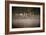 Canada Geese, Branta Canadensis, Taking Off in Unison from Pen Ponds in Richmond Park in Autumn-Alex Saberi-Framed Photographic Print