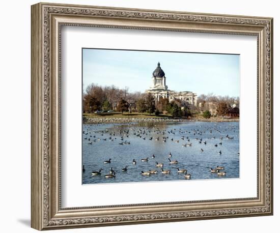 Canada Geese Enjoy a Sunny Day on Capitol Lake in Pierre, S.D.-null-Framed Photographic Print