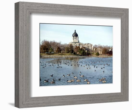 Canada Geese Enjoy a Sunny Day on Capitol Lake in Pierre, S.D.-null-Framed Photographic Print