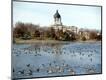 Photographic Print