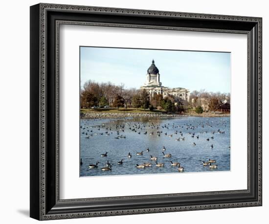 Canada Geese Enjoy a Sunny Day on Capitol Lake in Pierre, S.D.-null-Framed Photographic Print