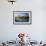 Canada Geese Resting at a Lake with Skyline, Calgary, Alberta, Canada-Peter Adams-Framed Photographic Print displayed on a wall