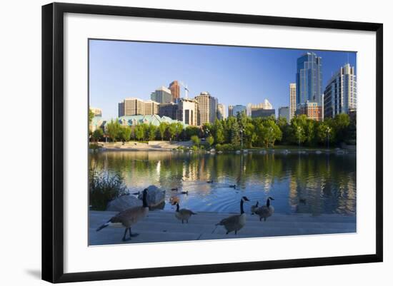 Canada Geese Resting at a Lake with Skyline, Calgary, Alberta, Canada-Peter Adams-Framed Photographic Print