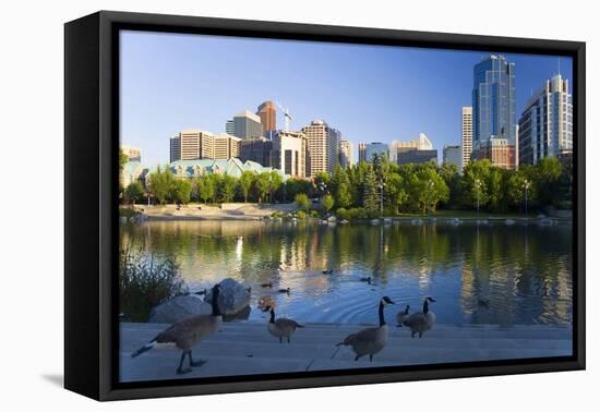 Canada Geese Resting at a Lake with Skyline, Calgary, Alberta, Canada-Peter Adams-Framed Premier Image Canvas