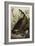 Canada Goose, 1827-1838-John James Audubon-Framed Giclee Print