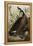 Canada Goose, 1827-1838-John James Audubon-Framed Premier Image Canvas