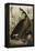 Canada Goose, 1827-1838-John James Audubon-Framed Premier Image Canvas