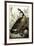 Canada Goose, C.1827-1838-John James Audubon-Framed Premium Giclee Print