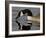 Canada Goose With Reflection While Swimming and Drinking, Denver City Park, Denver-null-Framed Photographic Print