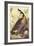 Canada Goose-John James Audubon-Framed Art Print