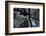 Canada, Gulf Islands, Portland Island. Abstract of Weathered Cedar-Kevin Oke-Framed Photographic Print