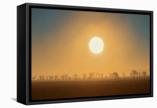 Canada, Manitoba, Altona. Foggy sunrise and shelterbelt trees.-Jaynes Gallery-Framed Premier Image Canvas