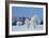 Canada, Manitoba, Birds Hill Provincial Park. Hoarfrost-covered trees in winter.-Jaynes Gallery-Framed Photographic Print