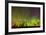 Canada, Manitoba, Birds Hill Provincial Park. Northern lights and tree silhouettes.-Jaynes Gallery-Framed Photographic Print