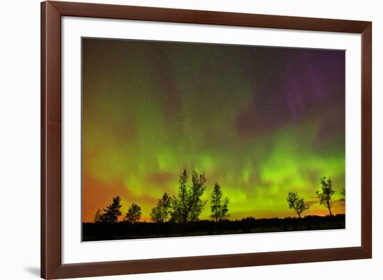 Canada, Manitoba, Birds Hill Provincial Park. Northern lights and tree silhouettes.-Jaynes Gallery-Framed Photographic Print