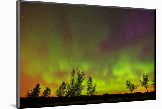 Canada, Manitoba, Birds Hill Provincial Park. Northern lights and tree silhouettes.-Jaynes Gallery-Mounted Photographic Print