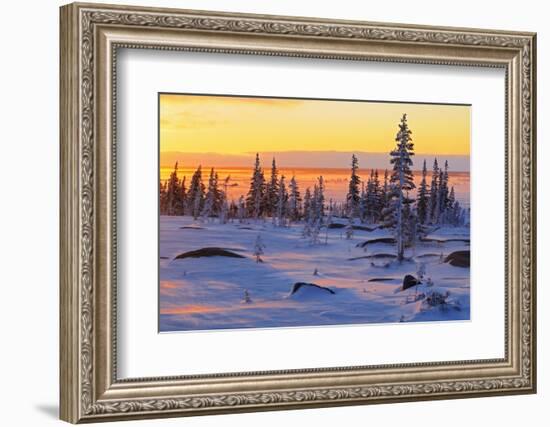 Canada, Manitoba, Churchill. Winter sunrise on tundra landscape.-Jaynes Gallery-Framed Photographic Print