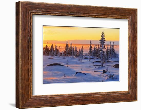 Canada, Manitoba, Churchill. Winter sunrise on tundra landscape.-Jaynes Gallery-Framed Photographic Print