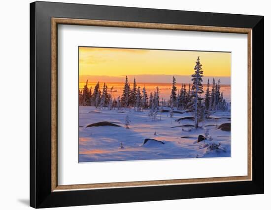 Canada, Manitoba, Churchill. Winter sunrise on tundra landscape.-Jaynes Gallery-Framed Photographic Print