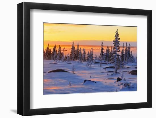 Canada, Manitoba, Churchill. Winter sunrise on tundra landscape.-Jaynes Gallery-Framed Photographic Print