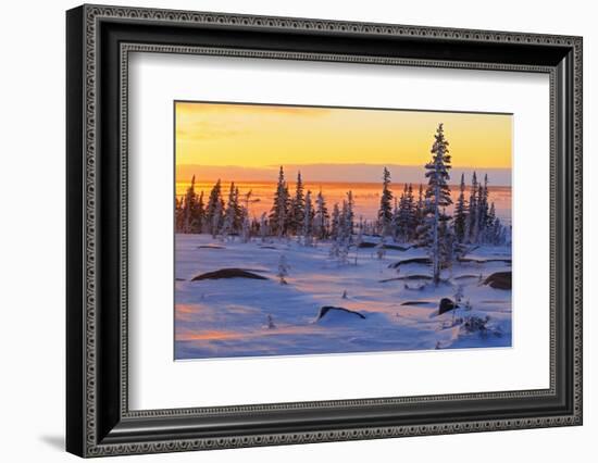 Canada, Manitoba, Churchill. Winter sunrise on tundra landscape.-Jaynes Gallery-Framed Photographic Print