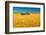 Canada, Manitoba, Holland. Barn and wheat field.-Jaynes Gallery-Framed Photographic Print