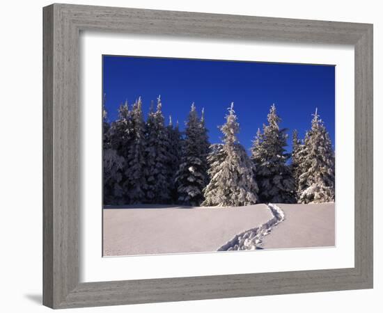 Canada, Manitoba, Riding Mountain National Park-Mike Grandmaison-Framed Photographic Print