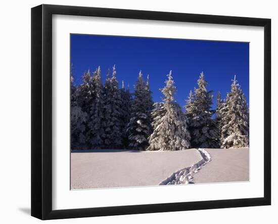 Canada, Manitoba, Riding Mountain National Park-Mike Grandmaison-Framed Photographic Print