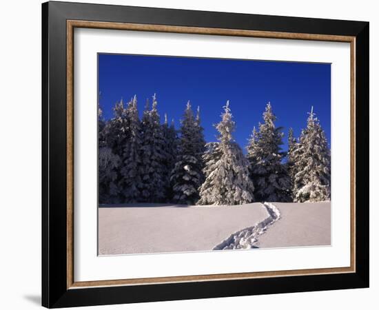 Canada, Manitoba, Riding Mountain National Park-Mike Grandmaison-Framed Photographic Print