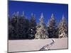 Canada, Manitoba, Riding Mountain National Park-Mike Grandmaison-Mounted Photographic Print