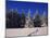 Canada, Manitoba, Riding Mountain National Park-Mike Grandmaison-Mounted Photographic Print