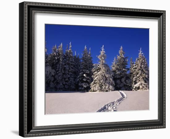 Canada, Manitoba, Riding Mountain National Park-Mike Grandmaison-Framed Photographic Print