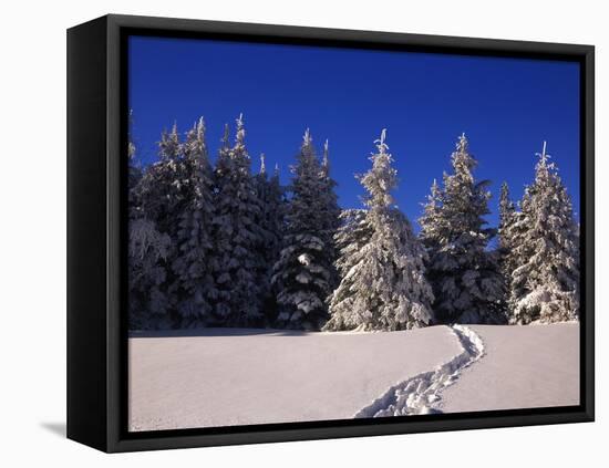 Canada, Manitoba, Riding Mountain National Park-Mike Grandmaison-Framed Premier Image Canvas