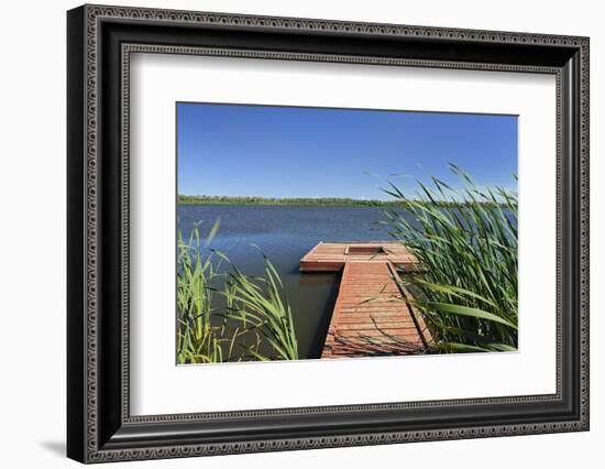 Canada, Manitoba, Saint Leon. Wooden dock on Lake St. Leon.-Jaynes Gallery-Framed Photographic Print