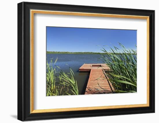 Canada, Manitoba, Saint Leon. Wooden dock on Lake St. Leon.-Jaynes Gallery-Framed Photographic Print