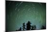 Canada, Manitoba. Star trails surround North Star with greenish glow of aurora borealis.-Jaynes Gallery-Mounted Photographic Print