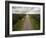 Canada, Manitoba, Thompson, Aerial View of Highway Through Boreal Forest-Paul Souders-Framed Photographic Print
