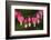 Canada, Manitoba, Winnipeg. Bleeding heart flowers.-Jaynes Gallery-Framed Photographic Print