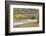 Canada, New Brunswick, Kennebecasis River Valley, Hampton. Autumn foliage.-Walter Bibikow-Framed Photographic Print