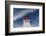 Canada, Nova Scotia, Cabot Trail. Cape Breton Highlands National Park, Neils Harbour Lighthouse.-Walter Bibikow-Framed Photographic Print